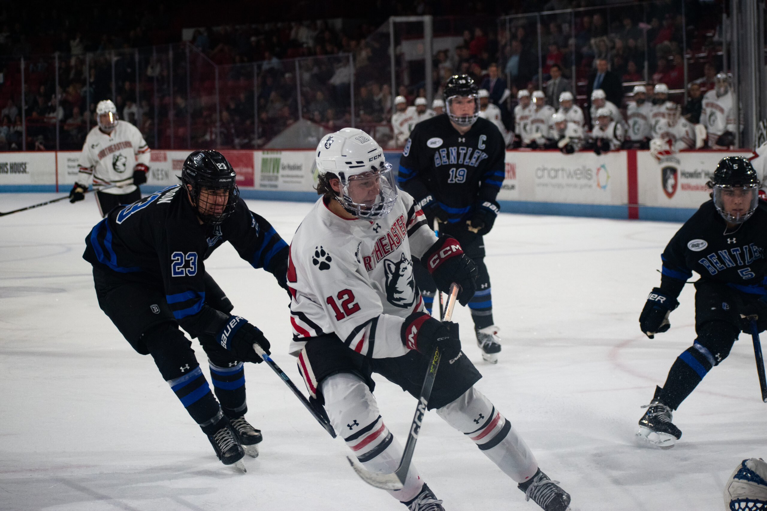 Alfond Sellout Sees Bears Lose 3-1