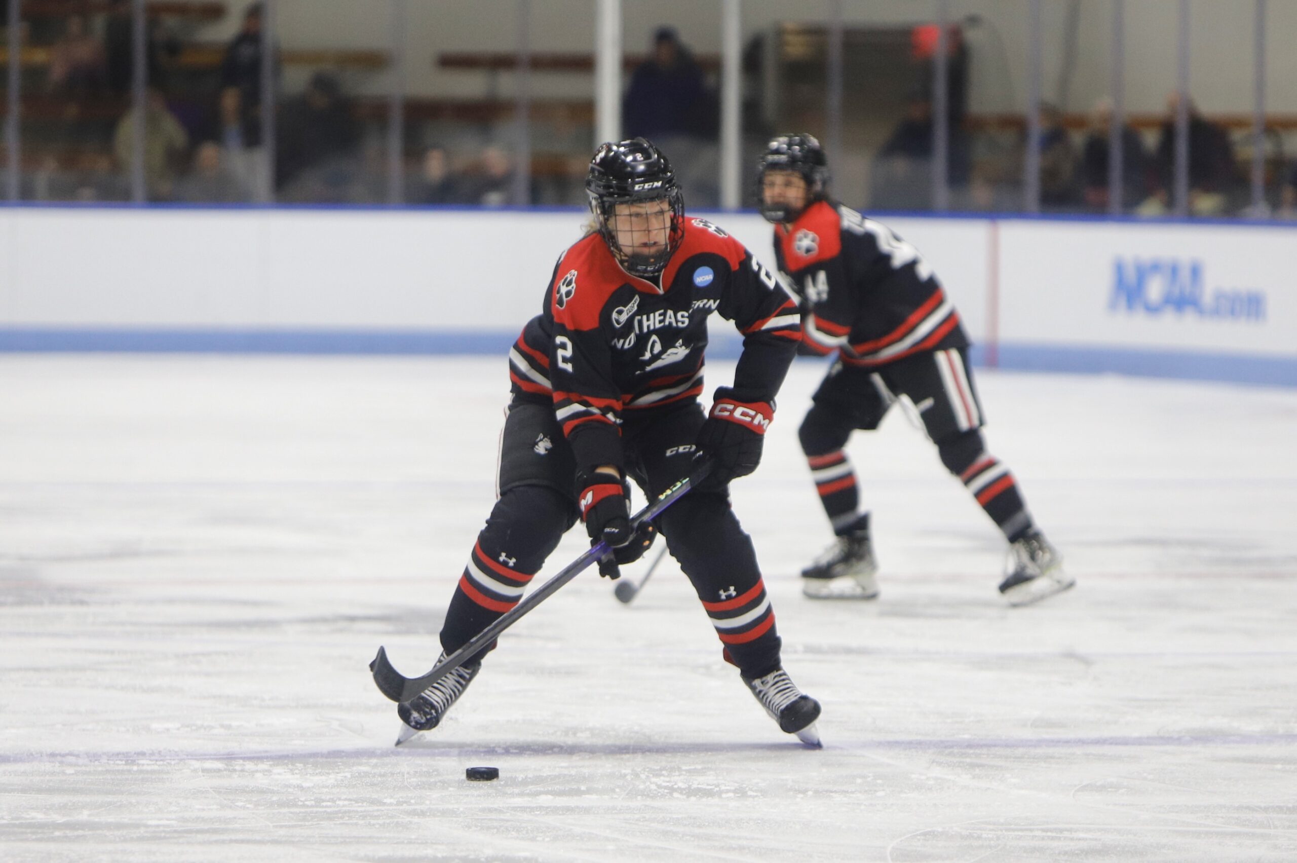 DAWGS SHUT OUT 4-0 BY ICE BEARS